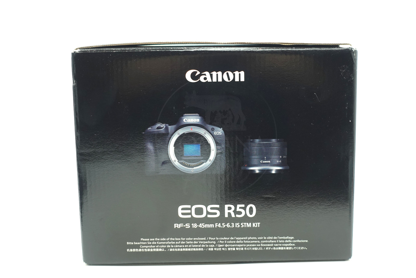 CANON EOS R50 + 18-45MM F/4.5-6.3 IS STM - immagine 14